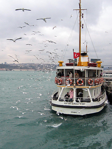 Üsküdar iskelesinde Vapur ve martılar Üsküdar iskelesinde Vapur ve martılar
