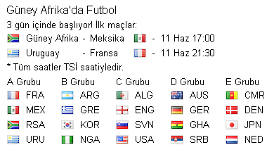 Google - World Cup search results